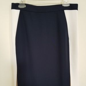 JCrew Navy and Cream Skirt